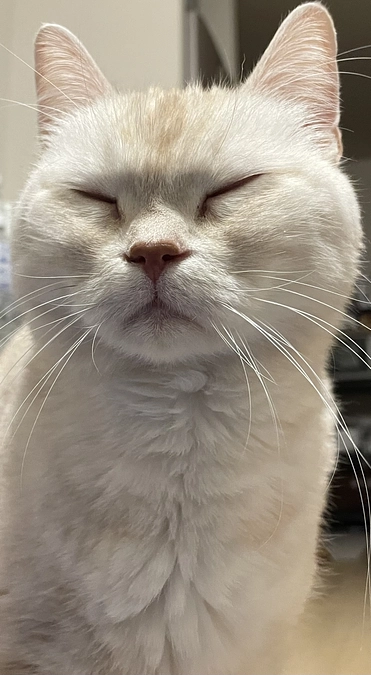 残り2日となりました❗️