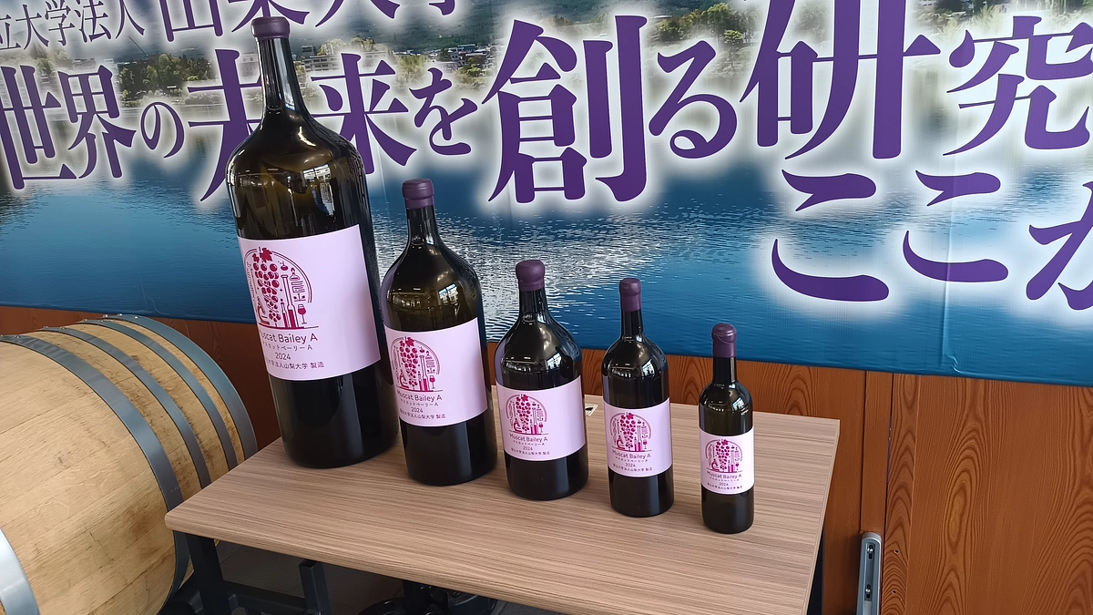 甲府駅でワイン科学研究センターの展示を開催中！