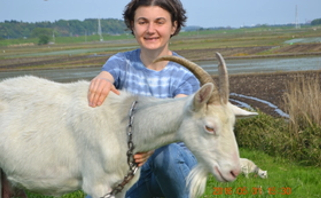 お礼の気持ちをメールでお届け！