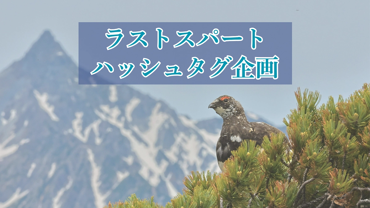 【残り3日】ラストスパートハッシュタグ企画！ひとりでも多くの方にプロジェクトが届きますように。