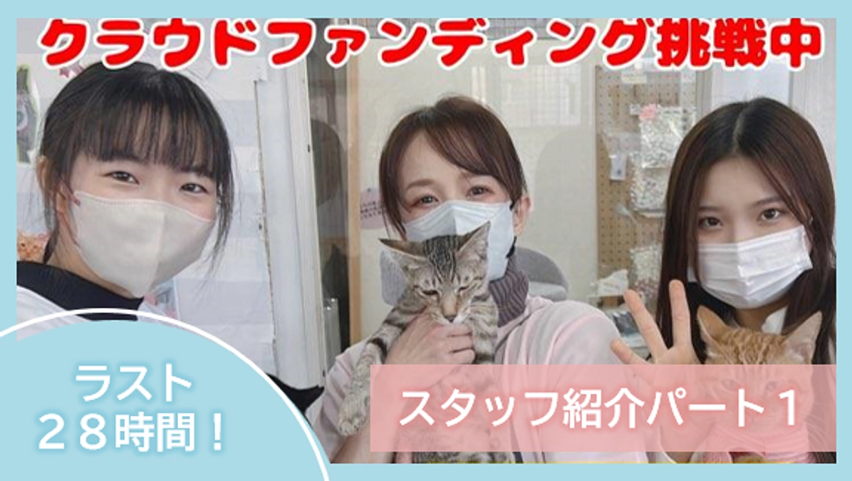 【ラスト28時間⏰】スタッフ紹介パート１！！【セカンドゴールまで140万円】