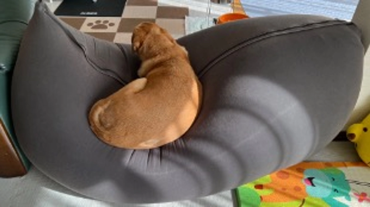 今日が最終日。