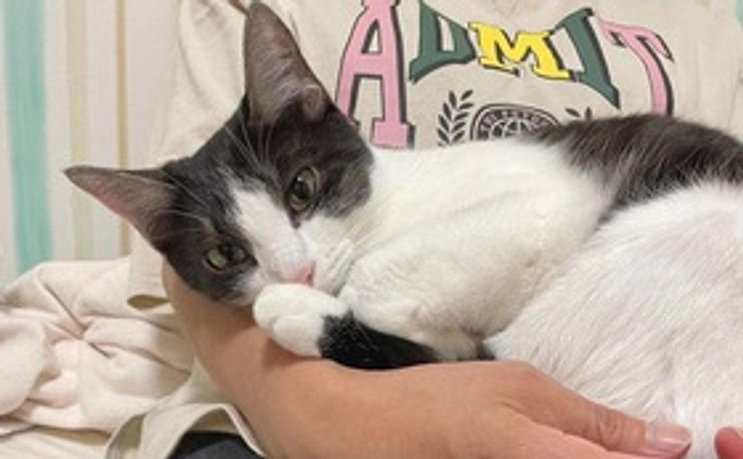 1.ひめの写真＋感謝のメール