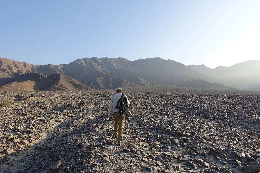 破壊の危機から守ろうリャマの地上絵： 人と自然をつなぐ壮大な物語を次世代に残すために
