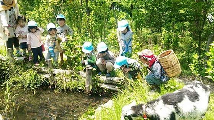 森のようちえん　炭焼き職人とかまどを再生！野外調理の継続を!!