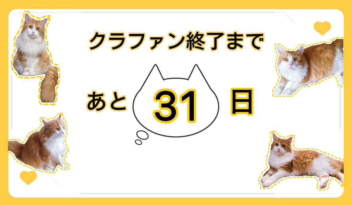 今日のシャルト　クラファン終了まであと31日