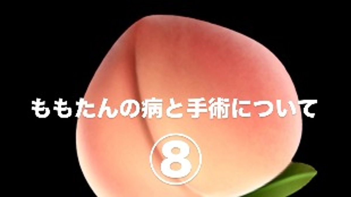 ももたんの病と手術について⑧