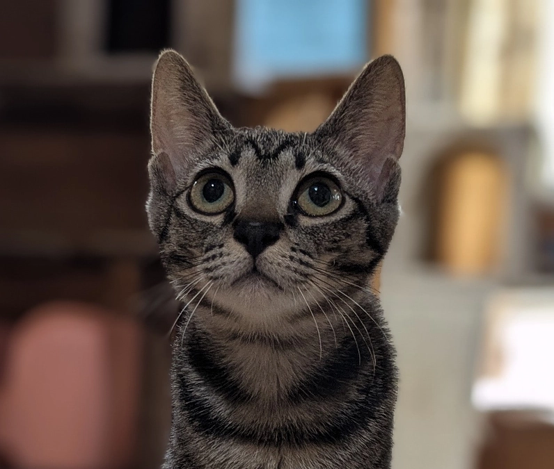 9月になりました!!