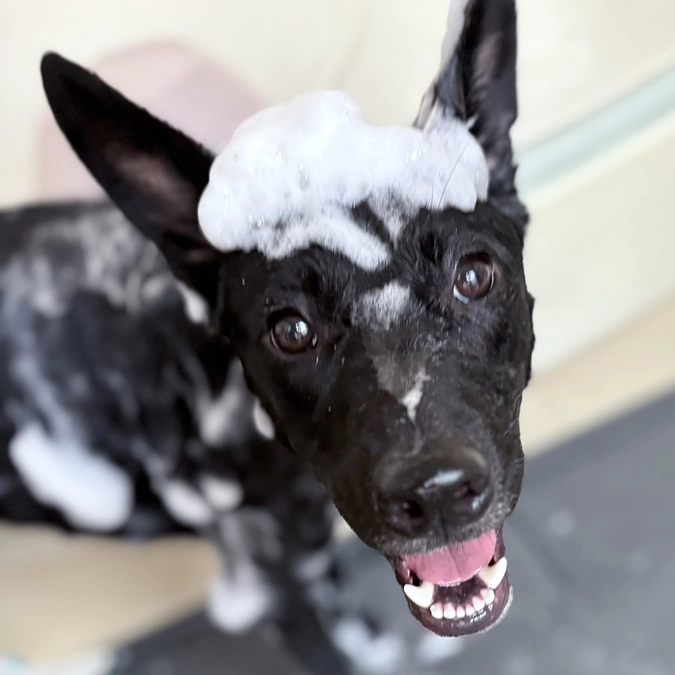 チラシ配布協力店の皆さま②楽しい時間が過ごせるはず