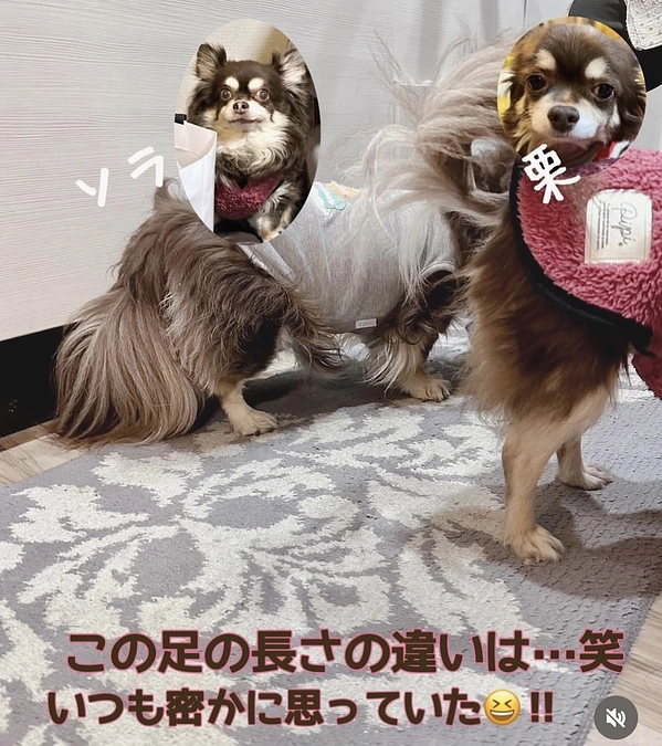 密かに思っていた事…。ちょっとした笑い話になります☺︎☺︎