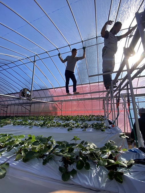 【活動報告㉓】どんないちごハウスにしたいのか､少し想いを綴ってみました