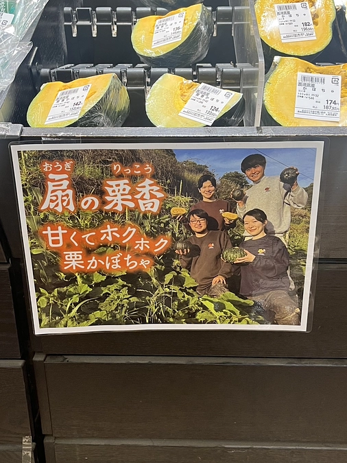 長崎県内でもかぼちゃ出荷中