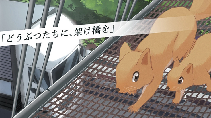 ロードキルや横断障害から動物達を守る歩道橋の啓発アニメにご支援を！