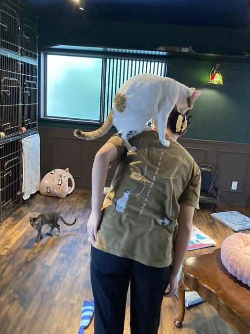 十条にゃんこ亭　オープン出来ました‼