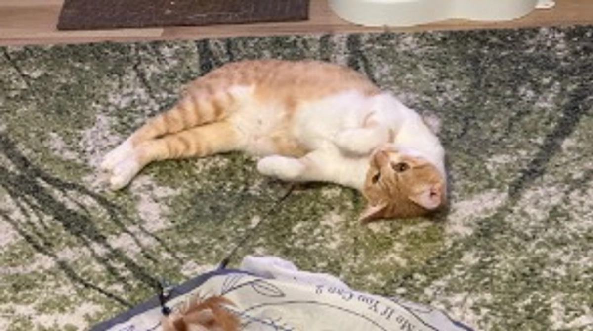 経過観察10日目（5/21）