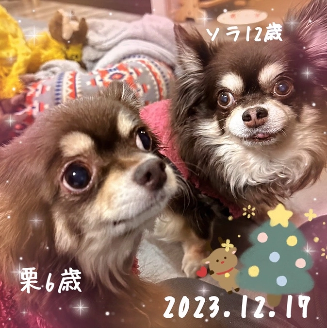 栗ちゃん　いよいよ明日は、術後1ヶ月検診です！