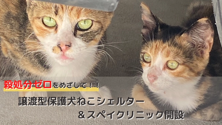 『譲渡型保護犬猫シェルターと診療所』を開設します！