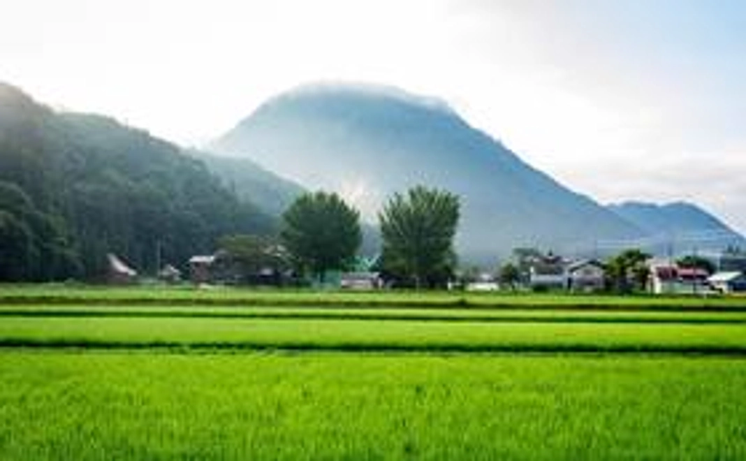 【懐かしの風景に癒される。昭和村にいつか行こう!】サンクスレター+ほんの気持ち