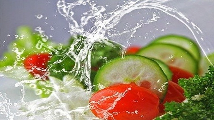 動物の命を守る!ヴィーガンレストラン/関連店舗紹介サイト