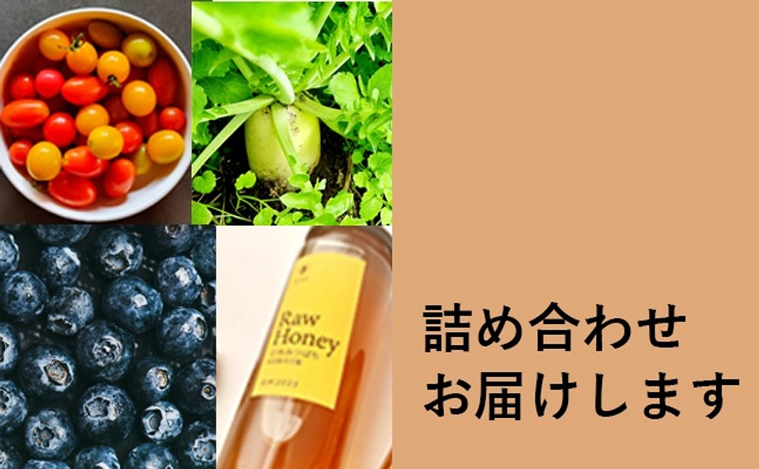 【詰め合わせボックス】日本ミツバチはちみつ、ブルーベリー、野菜