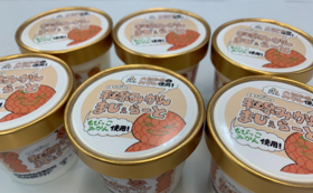 大阪の太陽！和泉のみかん！10,000円コース