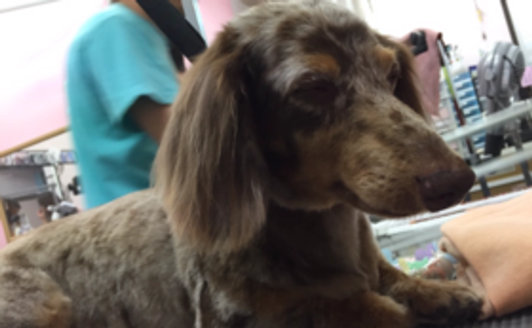 お礼&ハンカチセット