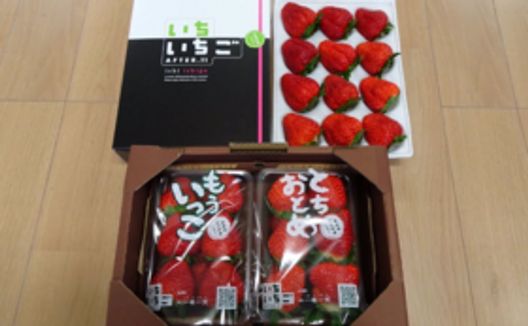 食べ比べセット【ご自宅+ご贈答】