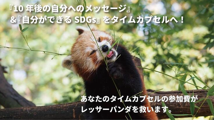 「未来の自分へメッセージ&自分ができるSDGs」をタイムカプセルに