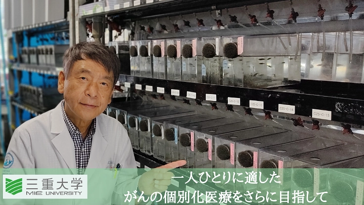 がん個別化医療のためのゼブラフィッシュ飼育管理構築費用にご協力を