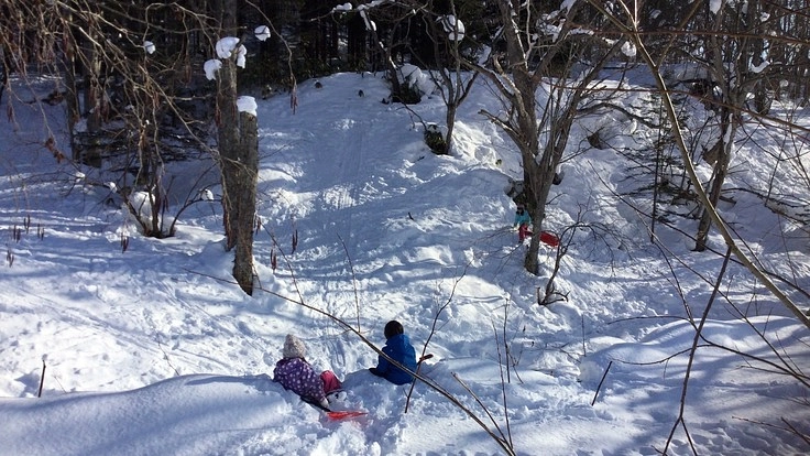 本当のその子らしさが輝くシュタイナー教育の奨学生への道を作りたい！