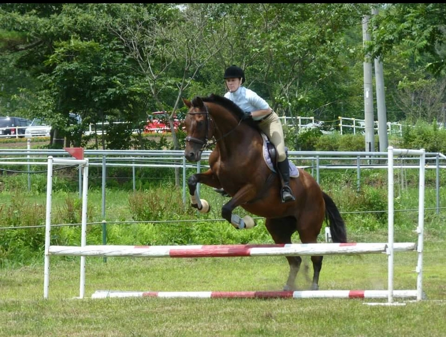 渡辺はるみさんから譲り受けたオーシャンカラーとの思い出