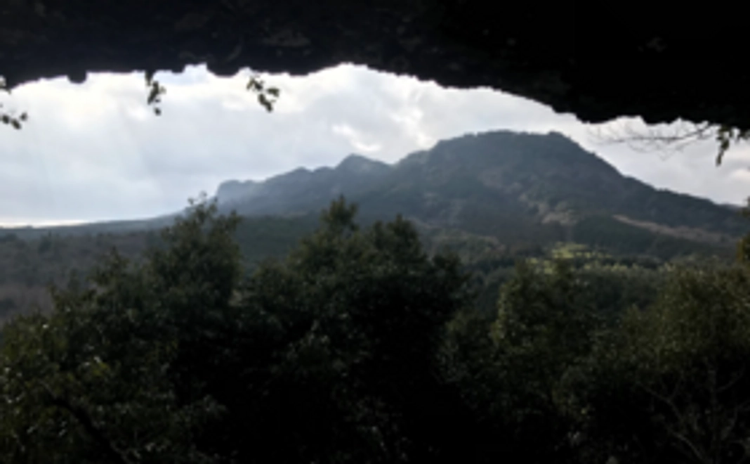 【遠方から見守って応援】完成報告書をお送りします