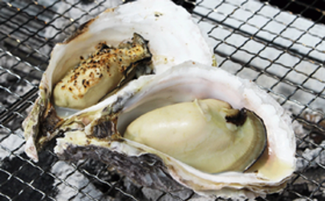 大入島オイスター3個＋ドリンク１杯　感謝のポストカード付き！