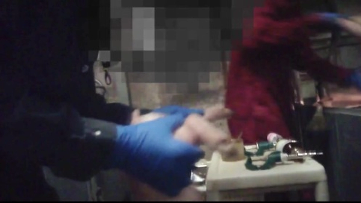 風太も大地も、生後1週間以内に、無麻酔で、去勢手術されています