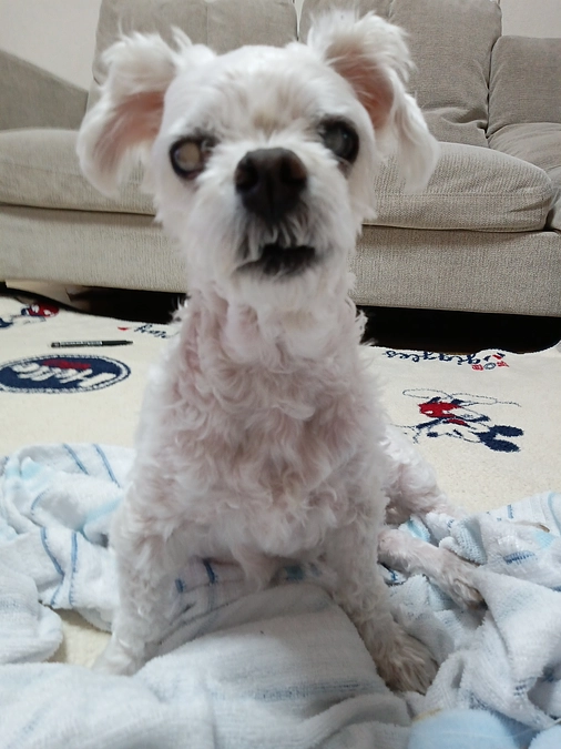 元気に過ごしいます