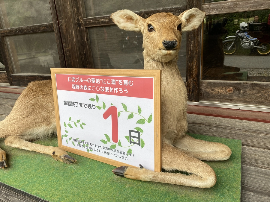 いよいよ残り1日となりました!!