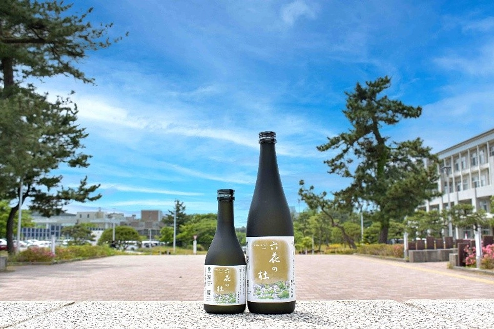 【新大WeeK・特別企画】開講！新潟大学＠古町ルフルで岸センター長が講義を行います