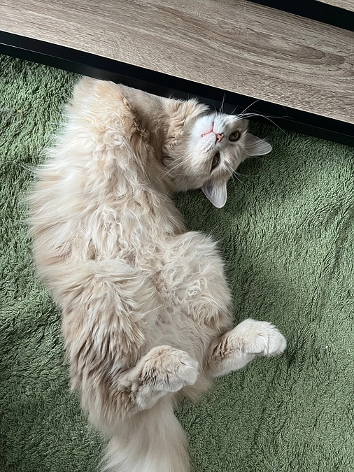 遺伝子検査の結果について