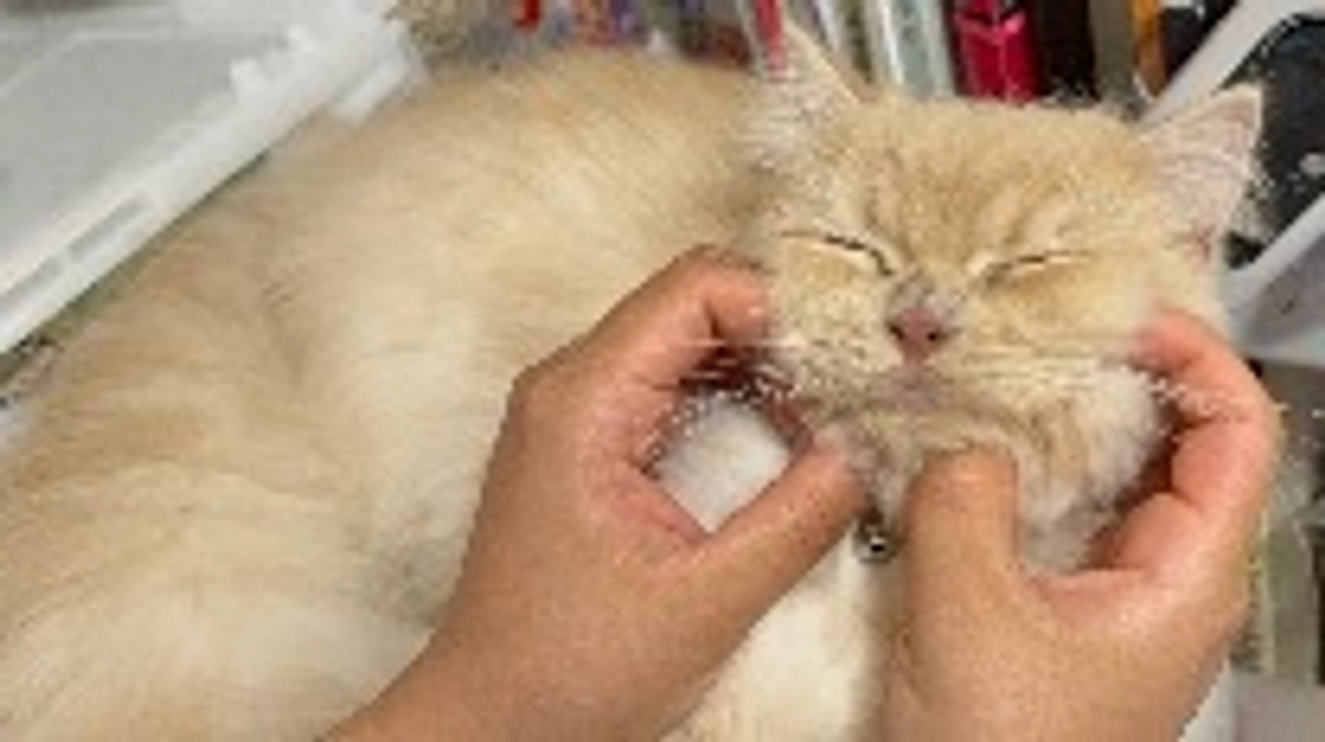 9/27 奇跡的な回復✨