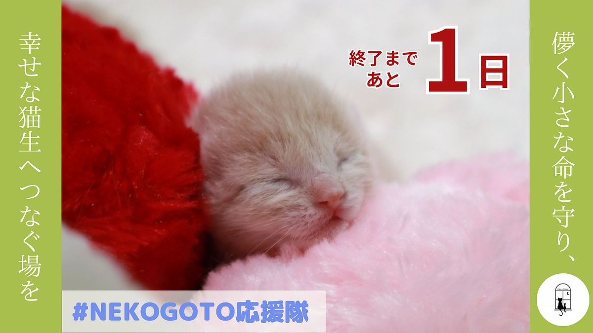 あと1日！ご支援とあたたかいメッセージをありがとうございます