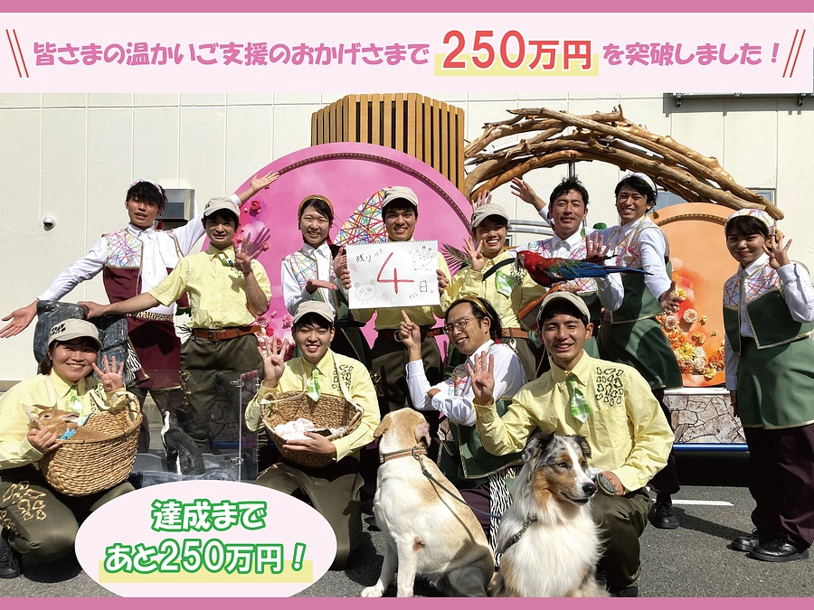 【50％突破！あと4日！】感謝の気持ちを込めて！最後まで駆け抜けます！