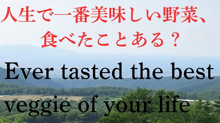 八甲田の麓の沖揚平にキャンプ村を作って、美味しい野菜を食べて欲しい