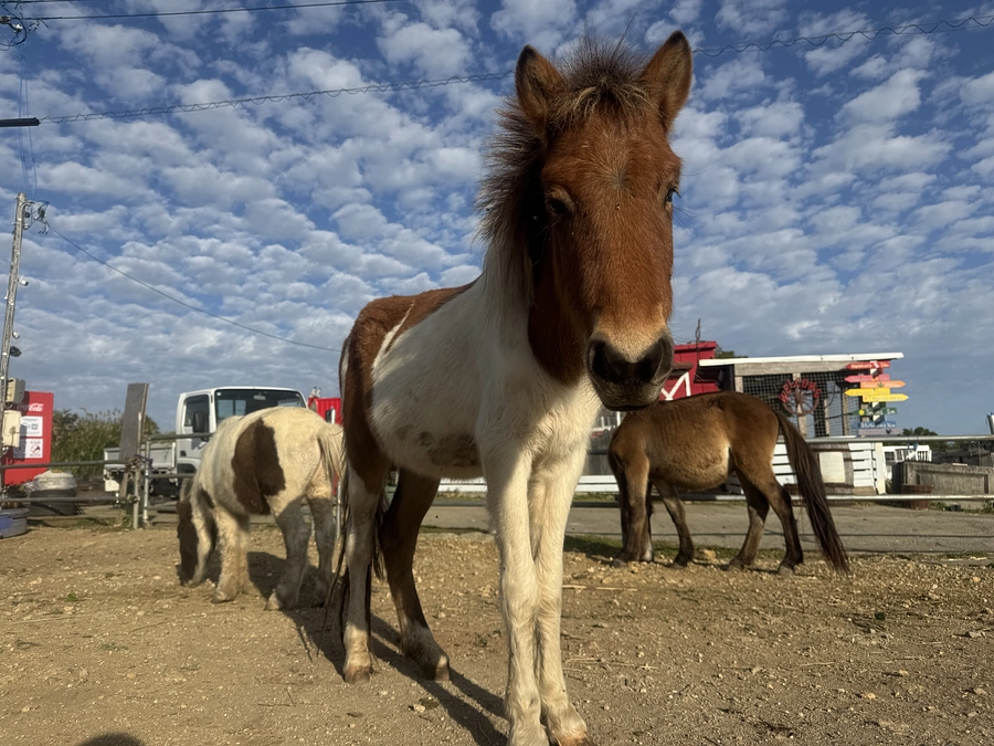 いよいよ本日公開！