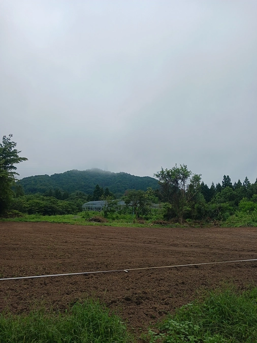 メイン部分の畑の造成完了！