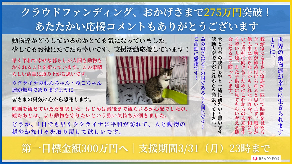 275万円超えました｜ご支援ありがとうございます。第一目標金額300万円達成まであと少しです