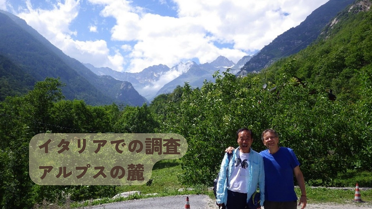 　【あと8日！】🍃ヨーロッパのヤマネたち！🌎【海外のヤマネ】スライドショー