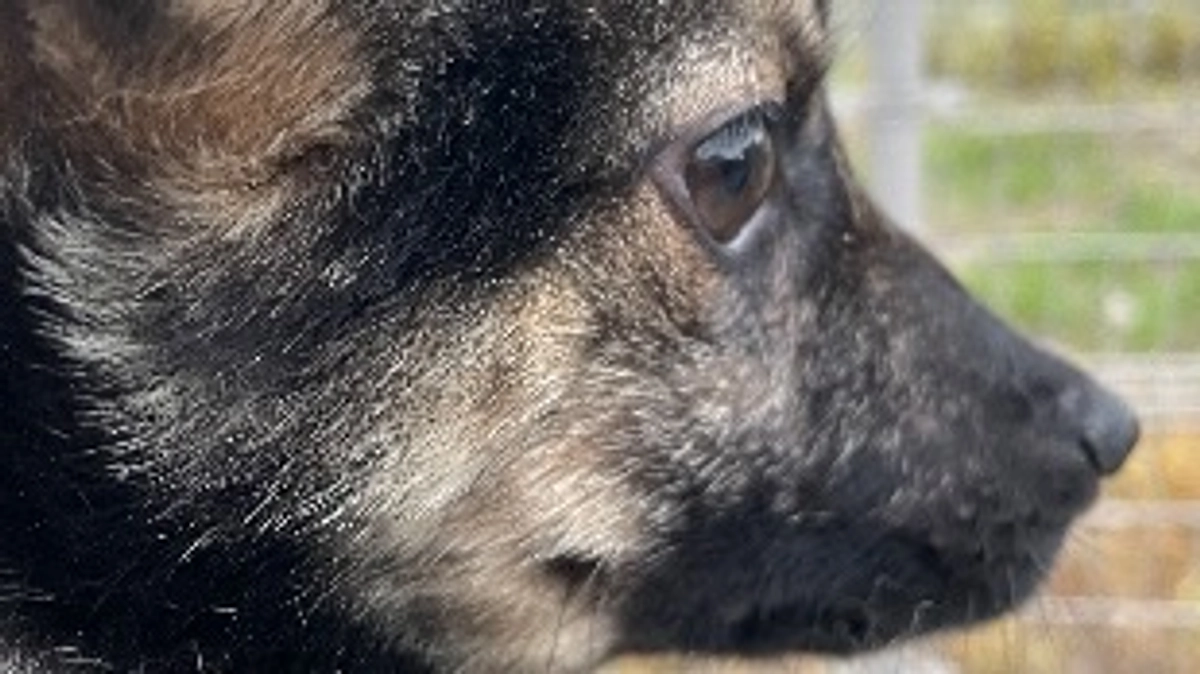 ありがとうございます！