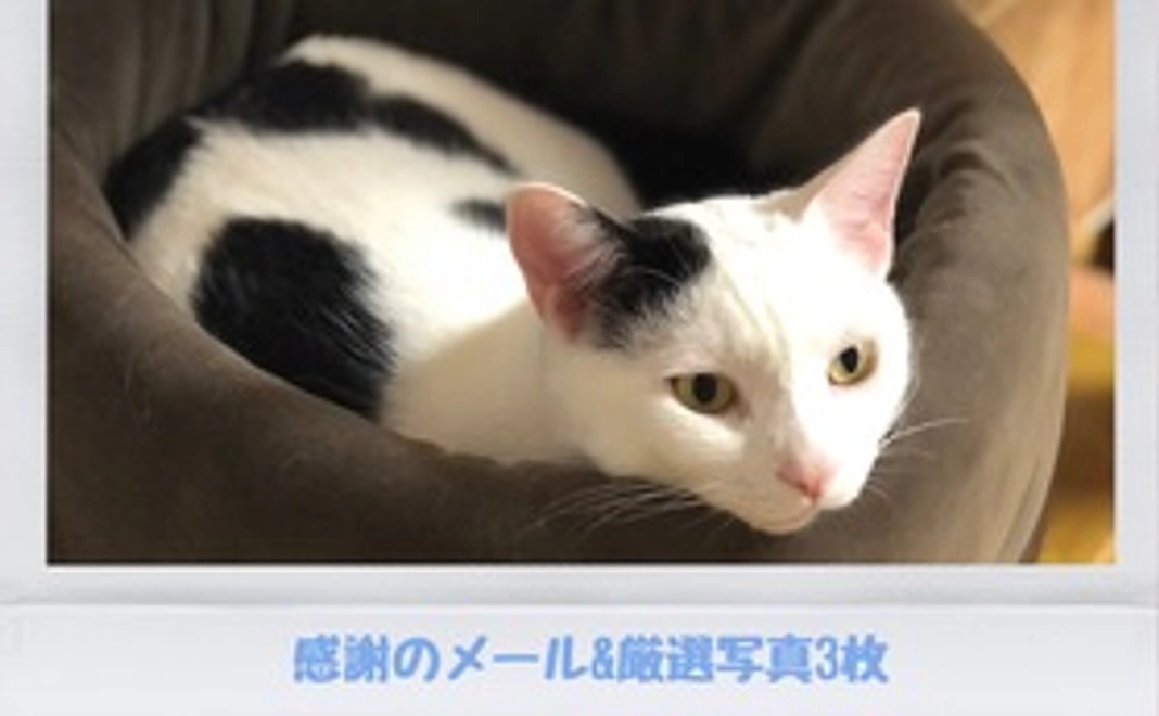 そうちゃん応援【3000円】