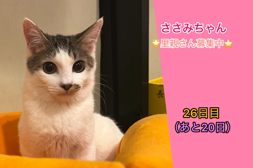 幸せ報告（3/10  あと20日）