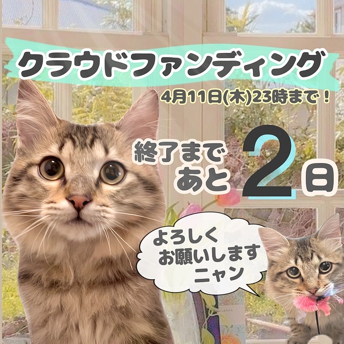 心からの感謝と、投薬再開8日目のちゃむ、そしてリターンのプレゼント品のサンプル
